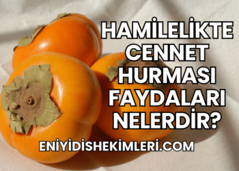 Hamilelikte Cennet Hurması Faydaları Nelerdir?
