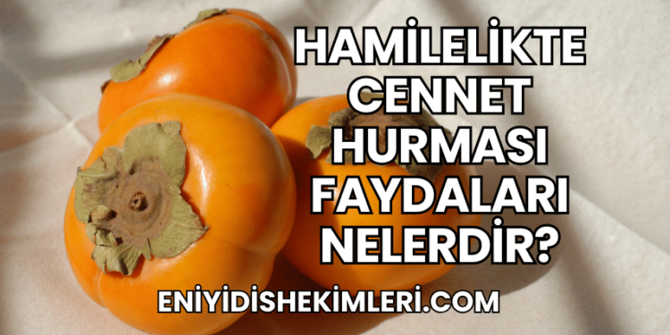 Hamilelikte Cennet Hurması Faydaları Nelerdir?