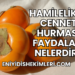 Hamilelikte Cennet Hurması Faydaları Nelerdir?