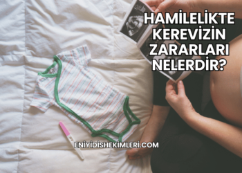 Hamilelikte Kerevizin Zararları Nelerdir?