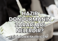Hazır Dondurmanın Zararları Nelerdir?