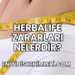 Herbalife Zararları Nelerdir?