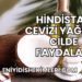 Hindistan Cevizi Yağının Cilde Faydaları