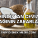 Hindistan Cevizi Yağının Zararları