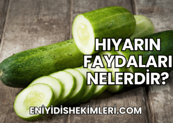 Hıyarın Faydaları Nelerdir?