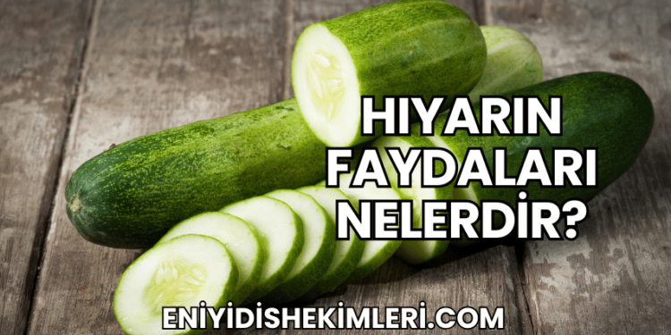 Hıyarın Faydaları Nelerdir?