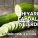 Hıyarın Faydaları Nelerdir?