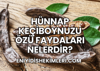 Hünnap Keçiboynuzu Özü Faydaları Nelerdir?