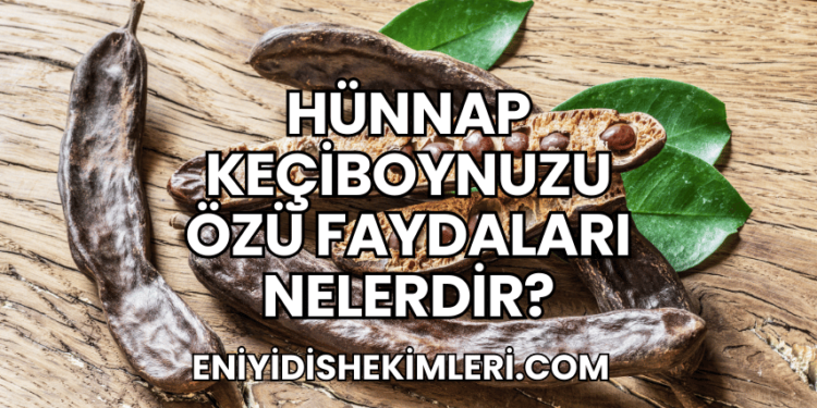 Hünnap Keçiboynuzu Özü Faydaları Nelerdir?