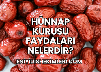 Hünnap Kurusu Faydaları Nelerdir?