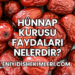 Hünnap Kurusu Faydaları Nelerdir?