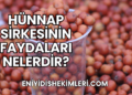 Hünnap Sirkesinin Faydaları Nelerdir?