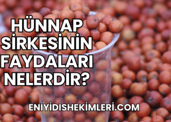 Hünnap Sirkesinin Faydaları Nelerdir?