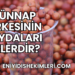 Hünnap Sirkesinin Faydaları Nelerdir?