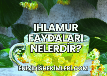 Ihlamur Faydaları Nelerdir?