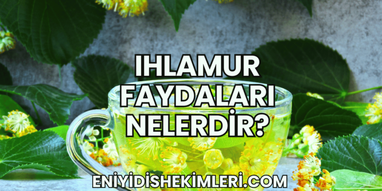 Ihlamur Faydaları Nelerdir?