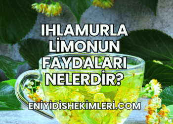 Ihlamurla Limonun Faydaları Nelerdir?