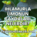 Ihlamurla Limonun Faydaları Nelerdir?