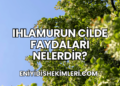 Ihlamurun Cilde Faydaları Nelerdir?