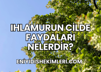Ihlamurun Cilde Faydaları Nelerdir?