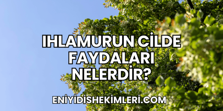 Ihlamurun Cilde Faydaları Nelerdir?