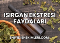 Isırgan Ekstresi Faydaları