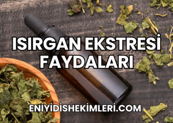Isırgan Ekstresi Faydaları