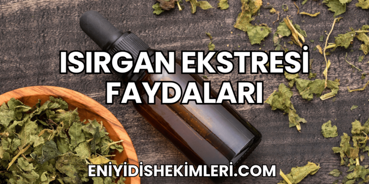Isırgan Ekstresi Faydaları