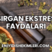 Isırgan Ekstresi Faydaları