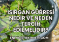 Isırgan Gübresi Nedir ve Neden Tercih Edilmelidir?