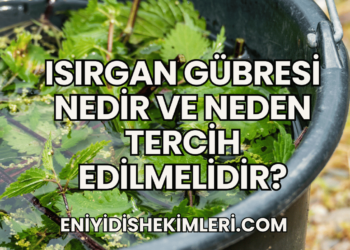 Isırgan Gübresi Nedir ve Neden Tercih Edilmelidir?