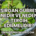 Isırgan Gübresi Nedir ve Neden Tercih Edilmelidir?