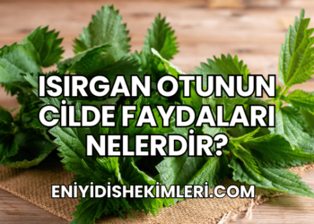 Isırgan Otunun Cilde Faydaları Nelerdir?
