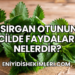 Isırgan Otunun Cilde Faydaları Nelerdir?