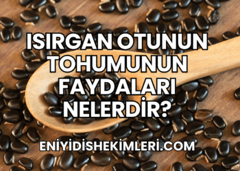 Isırgan Otunun Tohumunun Faydaları Nelerdir?