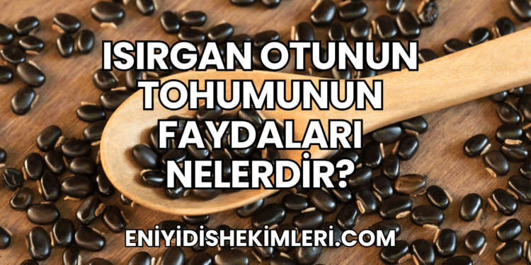 Isırgan Otunun Tohumunun Faydaları Nelerdir?