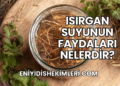 Isırgan Suyunun Faydaları Nelerdir?