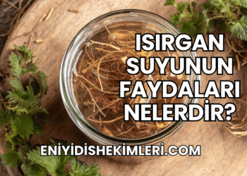 Isırgan Suyunun Faydaları Nelerdir?