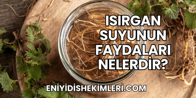 Isırgan Suyunun Faydaları Nelerdir?