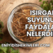 Isırgan Suyunun Faydaları Nelerdir?
