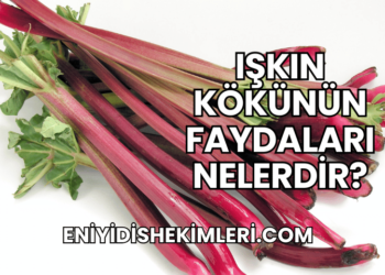 Işkın Kökünün Faydaları Nelerdir?