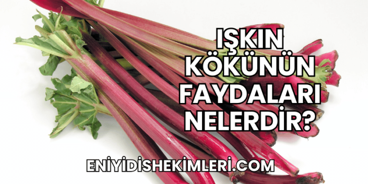 Işkın Kökünün Faydaları Nelerdir?