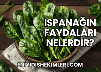 Ispanağın Faydaları Nelerdir?
