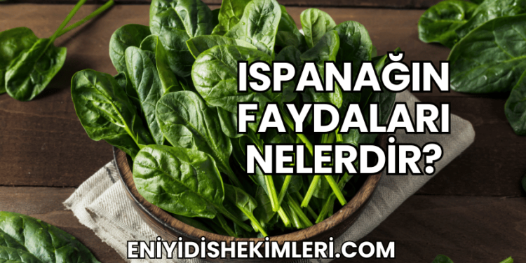 Ispanağın Faydaları Nelerdir?