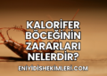 Kalorifer Böceğinin Zararları Nelerdir?