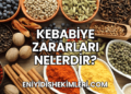 Kebabiye Zararları Nelerdir?