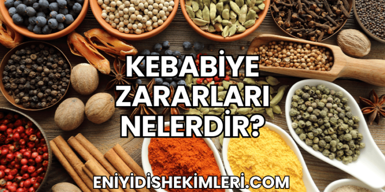 Kebabiye Zararları Nelerdir?