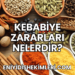 Kebabiye Zararları Nelerdir?