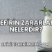 Kefirin Zararları Nelerdir?