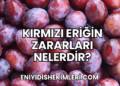 Kırmızı Eriğin Zararları Nelerdir?